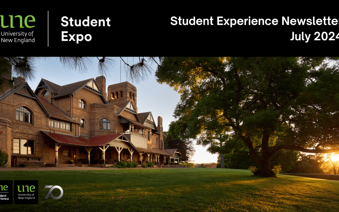 School media preview